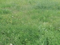 Eladó mezogazdasagi ingatlan, Hácson 5.8 M Ft