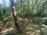 Eladó telek, Érden 79 M Ft / költözzbe.hu