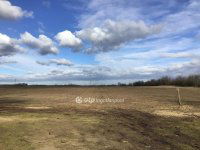 Eladó telek, Dabason 1133.64 M Ft / költözzbe.hu