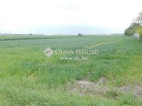 Eladó telek, Szigetszentmiklóson 300 M Ft / költözzbe.hu