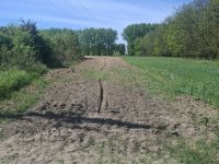 Eladó mezogazdasagi ingatlan, Albertirsán, Kakasi dűlőn 2.5 M Ft