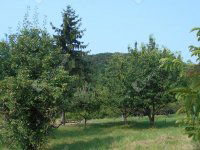 Eladó családi ház, Zalaegerszegen 16.5 M Ft, 1 szobás