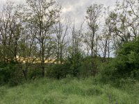 Eladó telek, Kisecseten 9.25 M Ft / költözzbe.hu