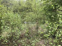 Eladó telek, Pilismaróton 7.9 M Ft / költözzbe.hu