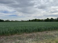 Eladó ipari ingatlan, Siófokon 99 M Ft / költözzbe.hu