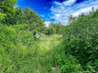 Eladó családi ház, Ádándon 39.9 M Ft, 3 szobás