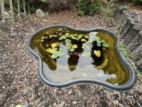 Eladó családi ház, Helvécián 89.9 M Ft, 4 szobás