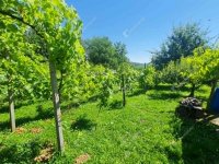 Eladó nyaraló, Letenyén 3.49 M Ft, 1 szobás