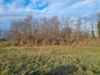 Kiadó ipari ingatlan