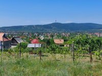 Eladó telek, Pécsett 4.7 M Ft / költözzbe.hu