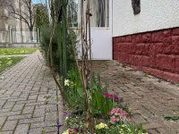 Eladó családi ház, Zalaegerszegen 89 M Ft, 5 szobás