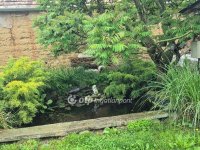 Eladó családi ház, Aranyosgadányban 31.5 M Ft, 2+2 szobás