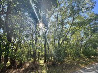 Eladó mezogazdasagi ingatlan