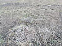 Eladó telek, Pusztaszabolcson 15 M Ft / költözzbe.hu