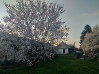 Eladó családi ház, Felcsúton 49 M Ft, 3 szobás