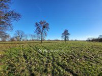 Eladó mezogazdasagi ingatlan, Balatonedericsen 144.399 M Ft