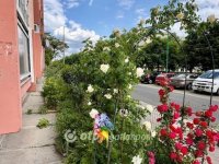 Eladó panellakás, XIII. kerületben 64.9 M Ft, 2 szobás