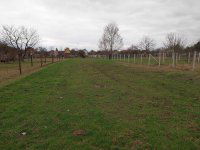 Eladó telek, Albertirsán 4.9 M Ft / költözzbe.hu