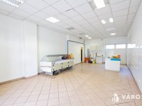 Kiadó üzlethelyiség, Békéscsabán 240 E Ft / hó