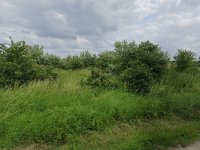 Eladó telek, Délegyházán 47 M Ft / költözzbe.hu