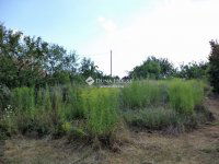 Eladó telek, Vereben 9.9 M Ft / költözzbe.hu