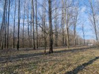 Eladó mezogazdasagi ingatlan, Cegléden 0.8 M Ft