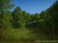 Eladó telek, Nagyszokolyon 0.69 M Ft / költözzbe.hu