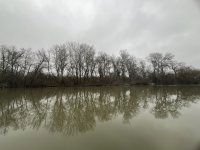 Eladó téglalakás, Tokajban 15.85 M Ft, 1 szobás