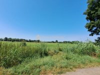 Eladó telek, Gyálon 21 M Ft / költözzbe.hu