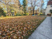 Kiadó téglalakás, albérlet, II. kerületben, Tárogató úton