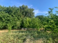 Eladó telek, Balatonalmádiban 5 M Ft / költözzbe.hu