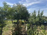 Eladó családi ház, Hevesen 25.9 M Ft, 3 szobás