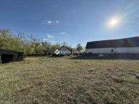 Eladó mezogazdasagi ingatlan, Orgoványon 79.9 M Ft, 3 szobás