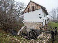 Eladó mezogazdasagi ingatlan