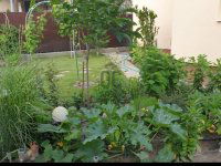 Eladó családi ház, XV. kerületben 198.9 M Ft, 5 szobás