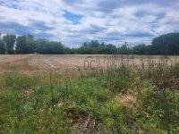 Eladó mezogazdasagi ingatlan, Pilisen 7.5 M Ft