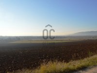 Eladó mezogazdasagi ingatlan, Vácon 296 M Ft