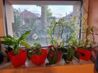 Eladó családi ház, XVII. kerületben 108.9 M Ft, 3 szobás