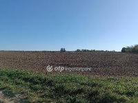 Eladó mezogazdasagi ingatlan, Érden 11.9 M Ft