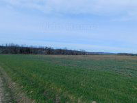 Eladó mezogazdasagi ingatlan, Nemesbükön 6.5 M Ft