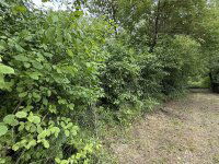 Eladó mezogazdasagi ingatlan, Balatongyörökön 20 M Ft