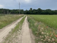 Eladó mezogazdasagi ingatlan, Monoron 34.9 M Ft