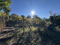 Eladó telek, Pécsett 20 M Ft / költözzbe.hu