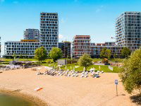 Kiadó téglalakás, albérlet, XI. kerületben 295 E Ft / hó