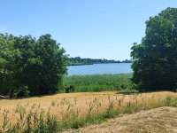 Eladó nyaraló, Valkón 45 M Ft, 2 szobás / költözzbe.hu