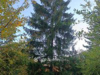 Eladó telek, Solymáron 64.9 M Ft / költözzbe.hu