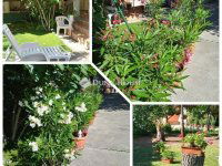 Eladó családi ház, Vecsésen 109.98 M Ft, 6 szobás