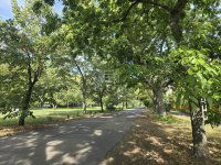 Eladó téglalakás, XIV. kerületben 70.5 M Ft, 2+1 szobás