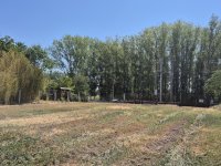 Eladó telek, Farmoson 15.9 M Ft / költözzbe.hu