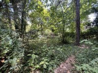 Eladó telek, XII. kerületben 369 M Ft / költözzbe.hu